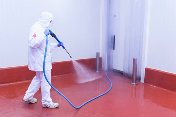 Best Pre-Holiday Cleaning  in Greensburg, PA